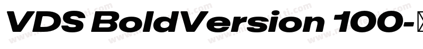 VDS BoldVersion 100字体转换